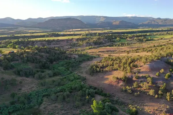 15590 Red Mountain Lane, Collbran, CO 81624
