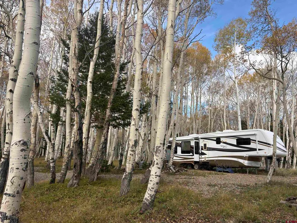 1204 Hazel Lake Drive, Cimarron, CO 81220 - #1