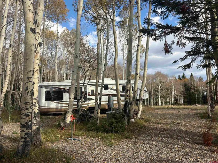 1204 Hazel Lake Drive, Cimarron, CO 81220 - #2