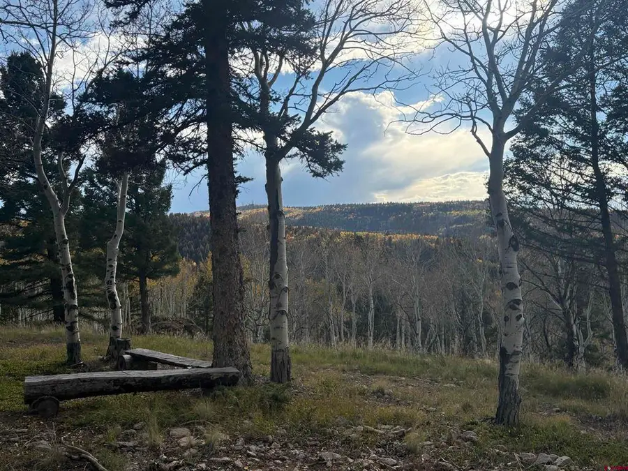 1204 Hazel Lake Drive, Cimarron, CO 81220 - #3