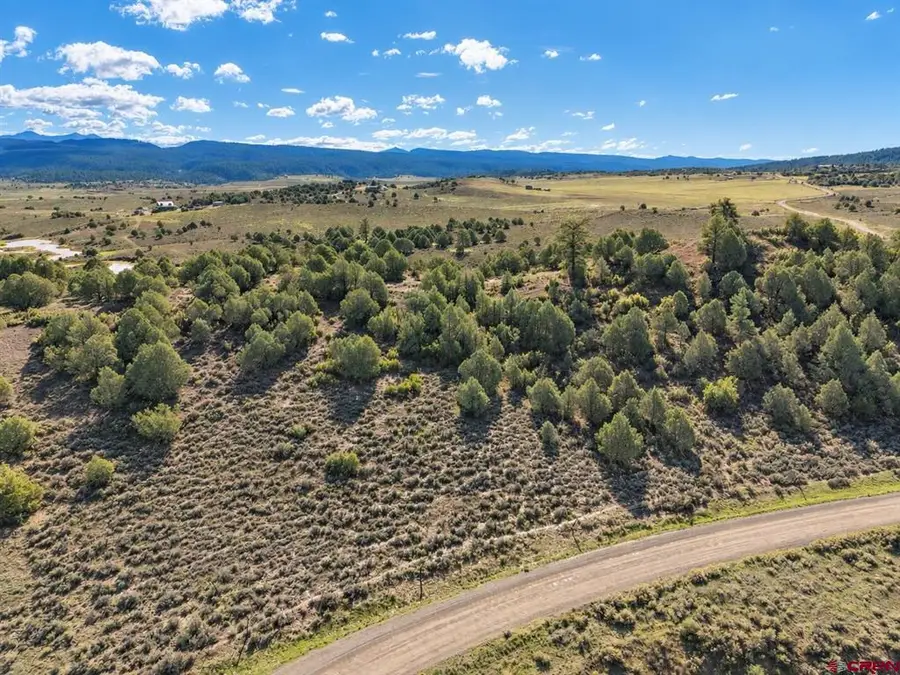 8340 County Road 542, Pagosa Springs, CO 81147 - #3