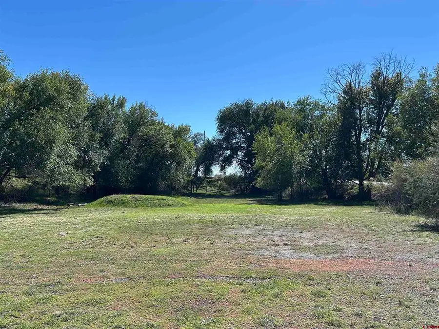 1563 SW 9th Street, Cedaredge, CO 81413 - #2