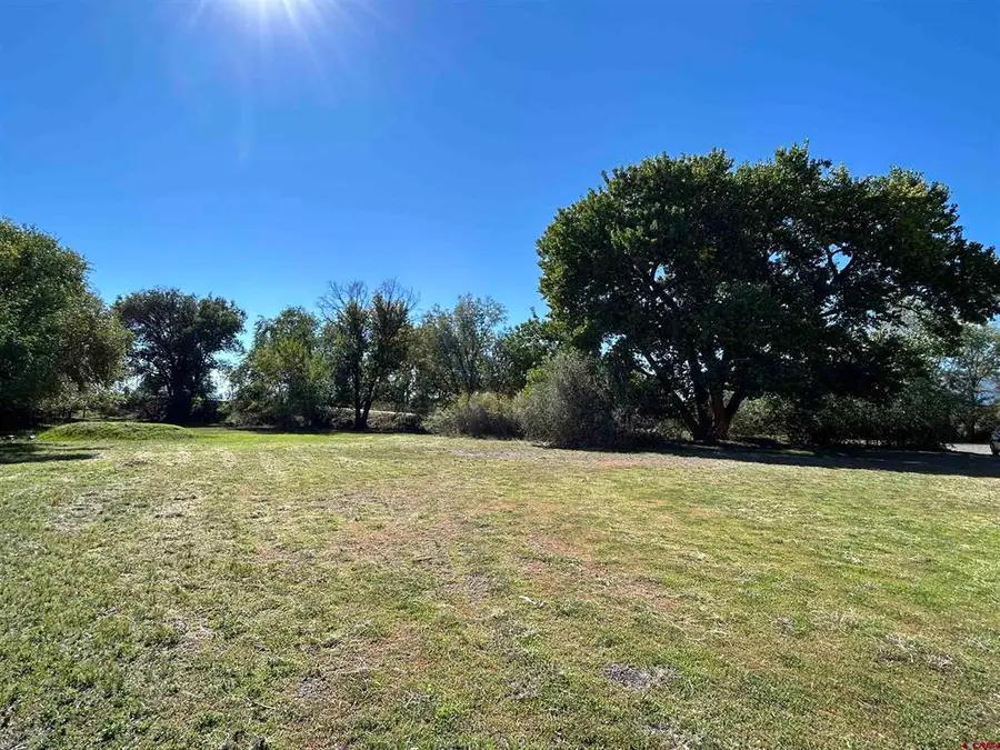 1563 SW 9th Street, Cedaredge, CO 81413 - #3