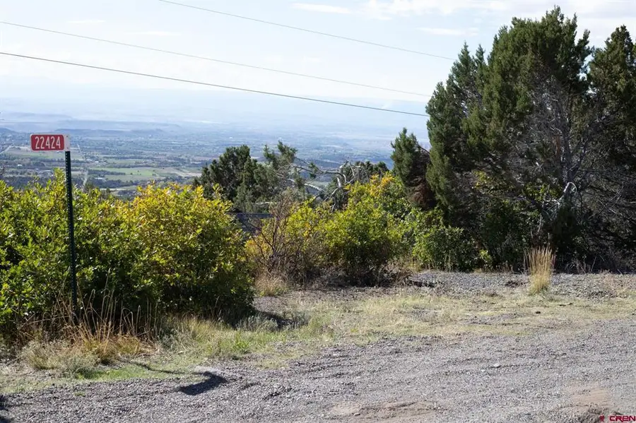 22424 Highway 65, Cedaredge, CO 81413 - #2