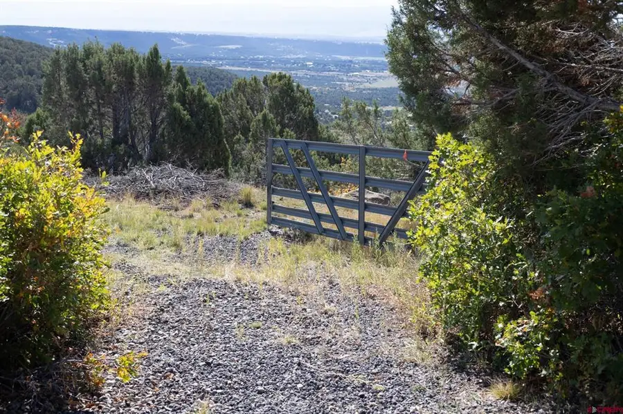 22424 Highway 65, Cedaredge, CO 81413 - #3