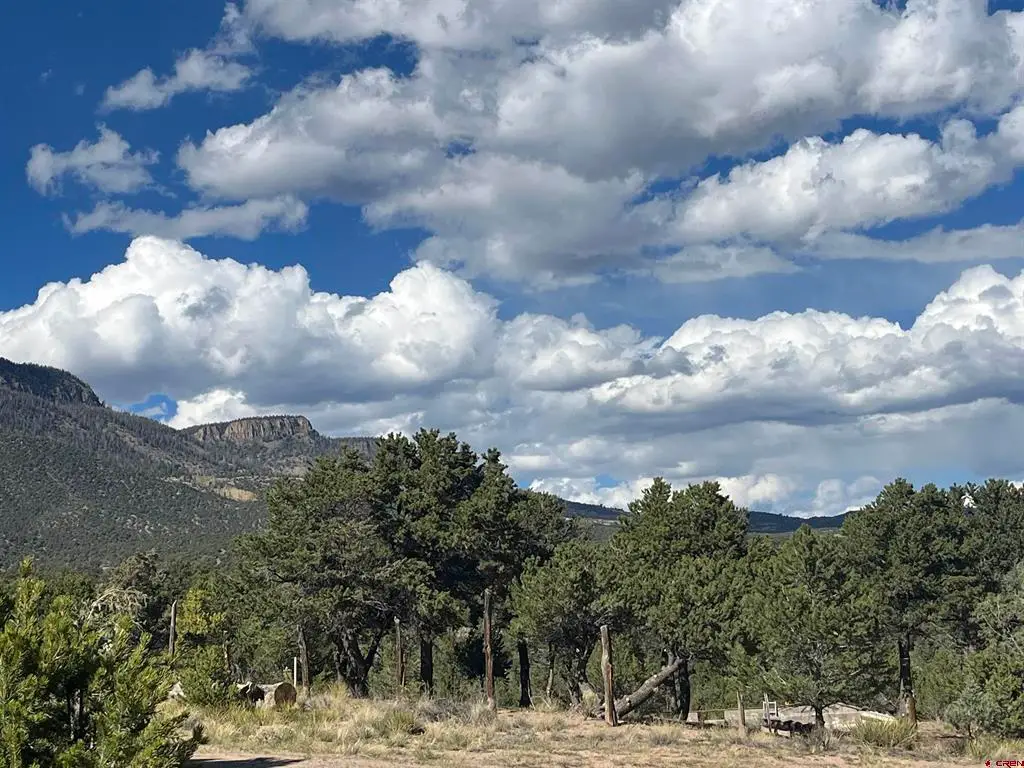 51 Winook Circle, South Fork, CO 81154 - #1