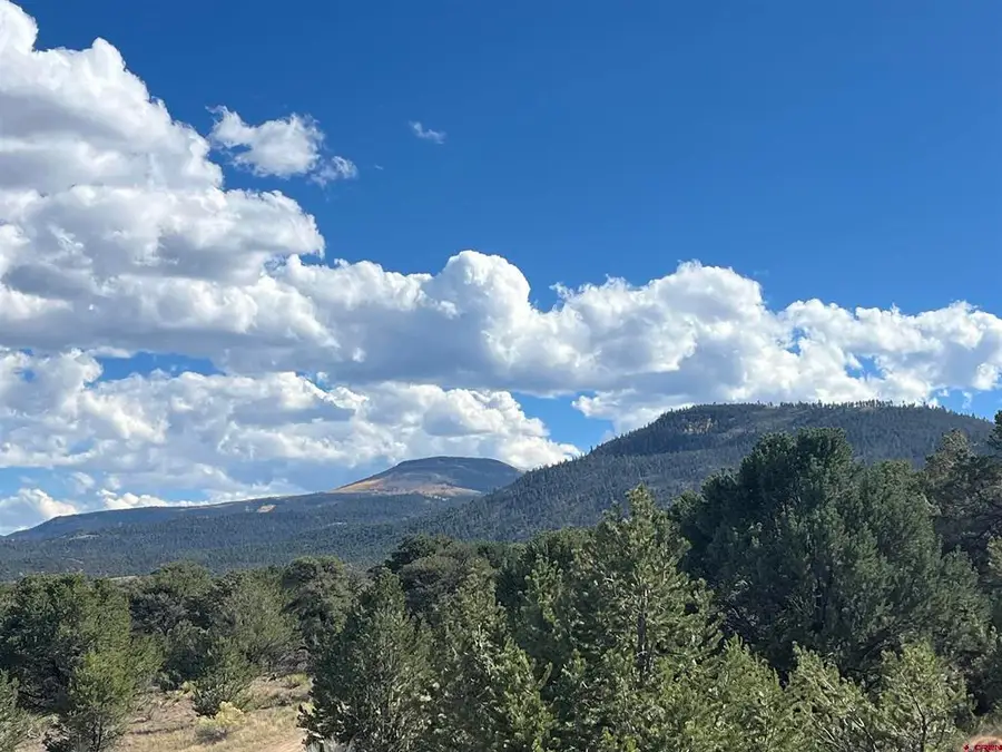 51 Winook Circle, South Fork, CO 81154 - #3