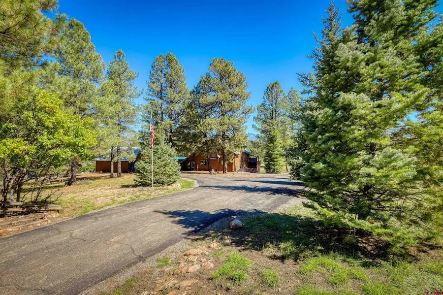 186 Clearwater Drive, Pagosa Springs, CO 81147 - #3