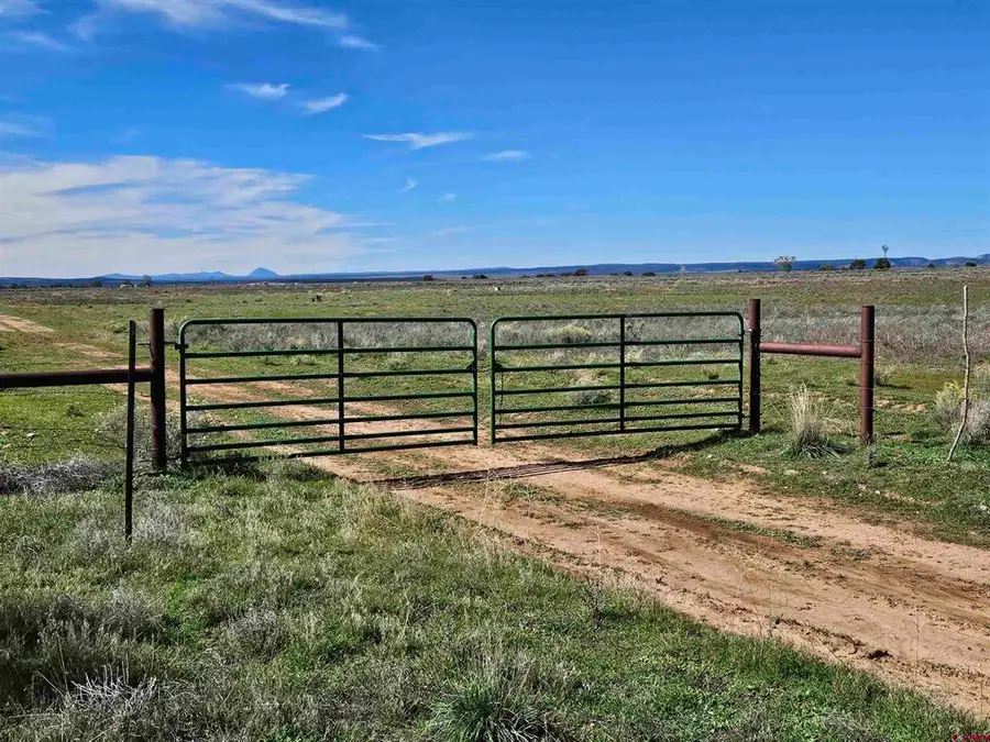 TBD County Road 131, Hesperus, CO 81326 - #2