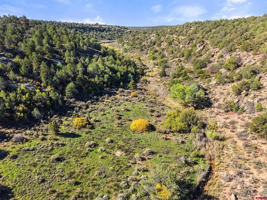 11485 County Road 4, Dove Creek, CO 81324 - #1