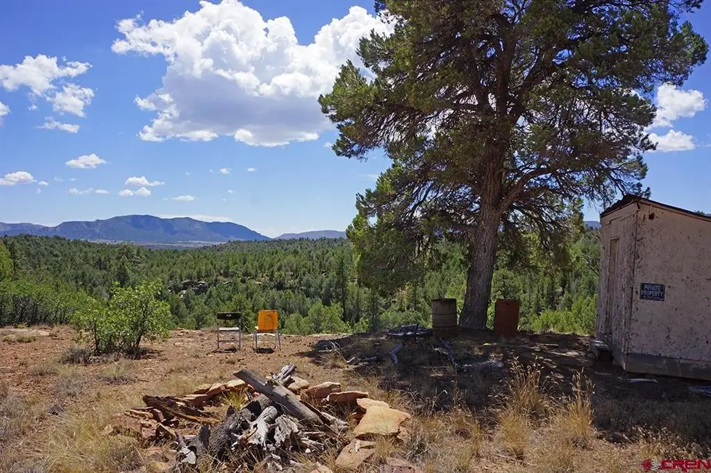 TBD-Lot 3 Hwy 184, Mancos, CO 81328 - #1