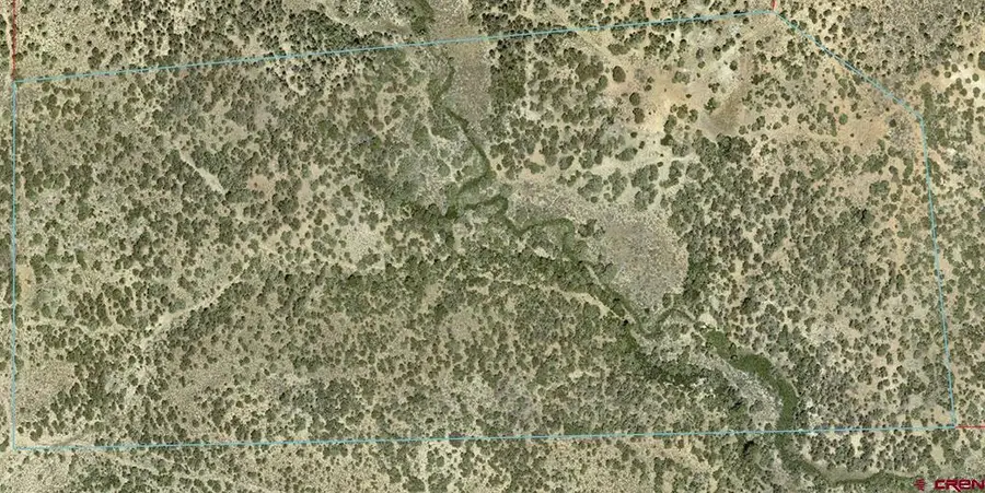 TBD-Lot 3 Hwy 184, Mancos, CO 81328 - #2