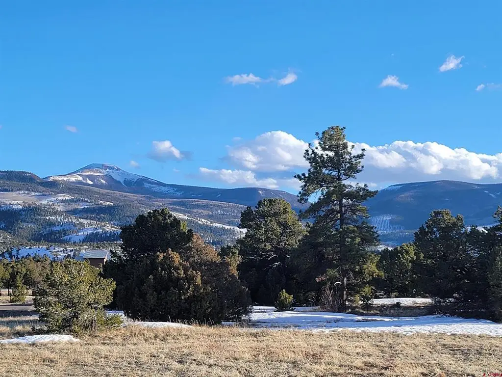 4413 Bear Creek Circle, South Fork, CO 81154 - #1