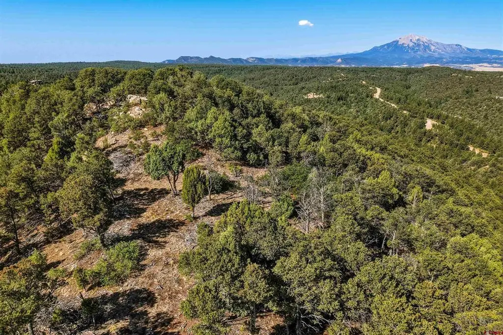 93 Blackhawk Ranch, Walsenburg, CO 81089 - #1