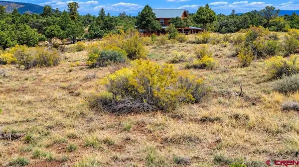 463 Wildhorse Trail, South Fork, CO 81154