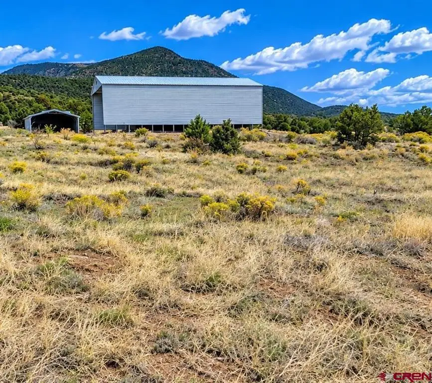 463 Wildhorse Trail, South Fork, CO 81154 - #2