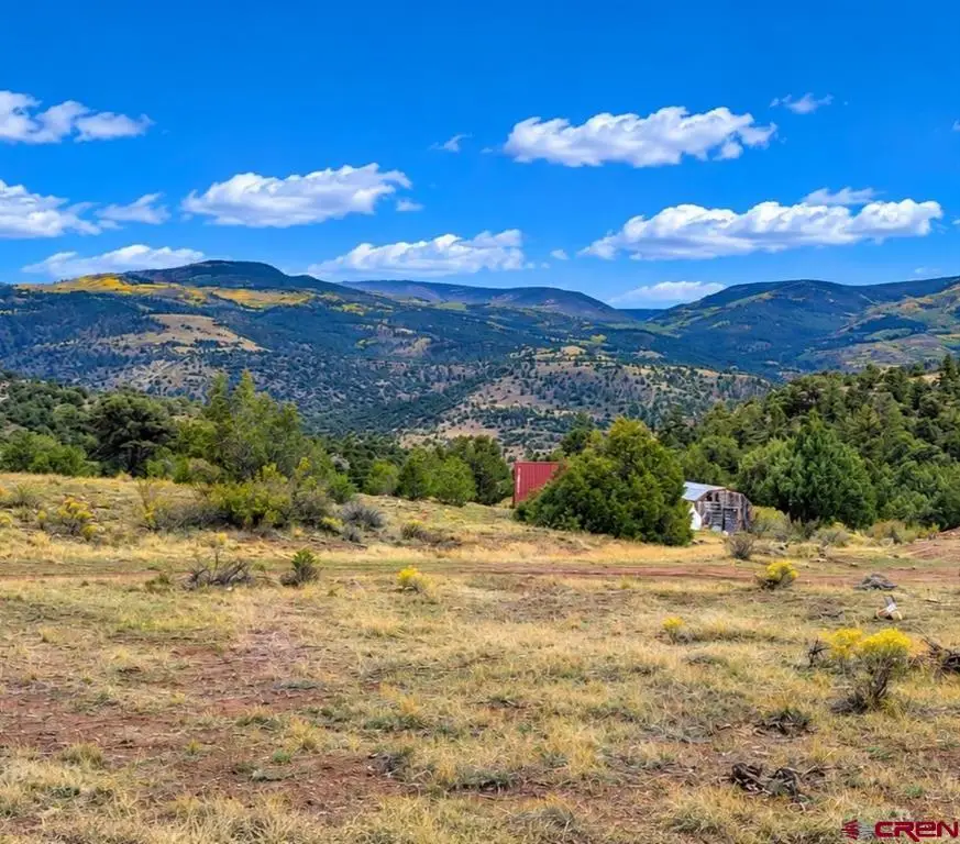 463 Wildhorse Trail, South Fork, CO 81154 - #3