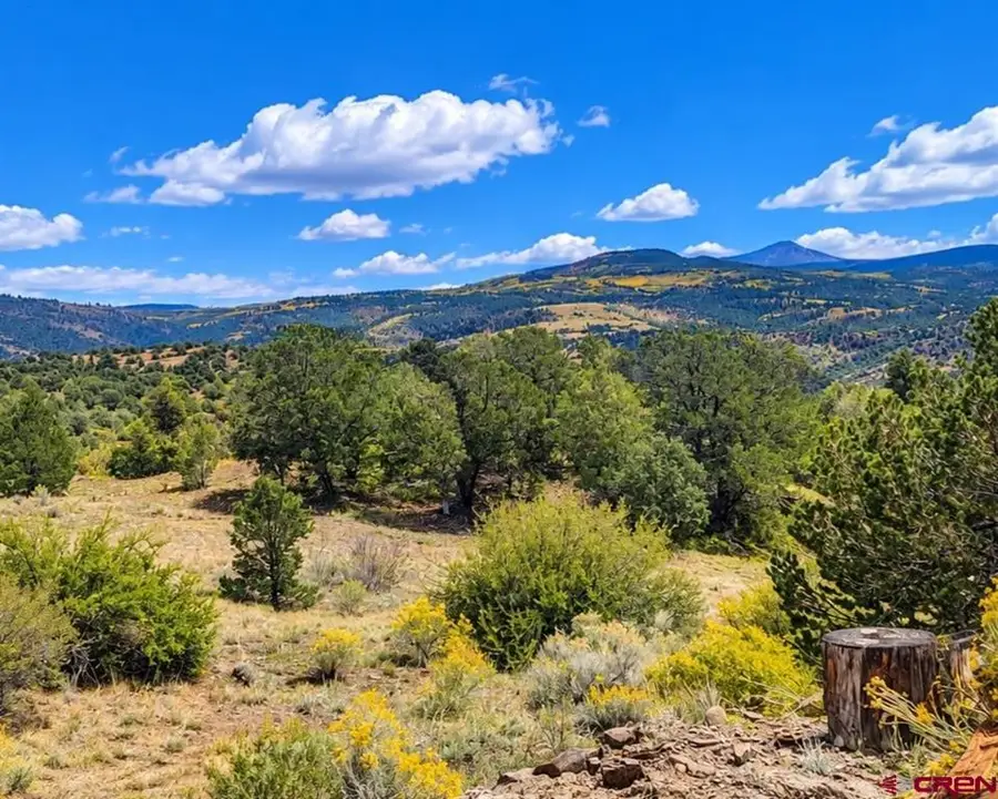 398 Wild Horse Trail, South Fork, CO 81154 - #2