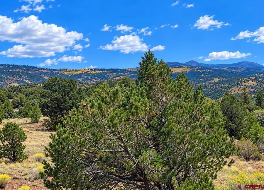398 Wild Horse Trail, South Fork, CO 81154 - #3