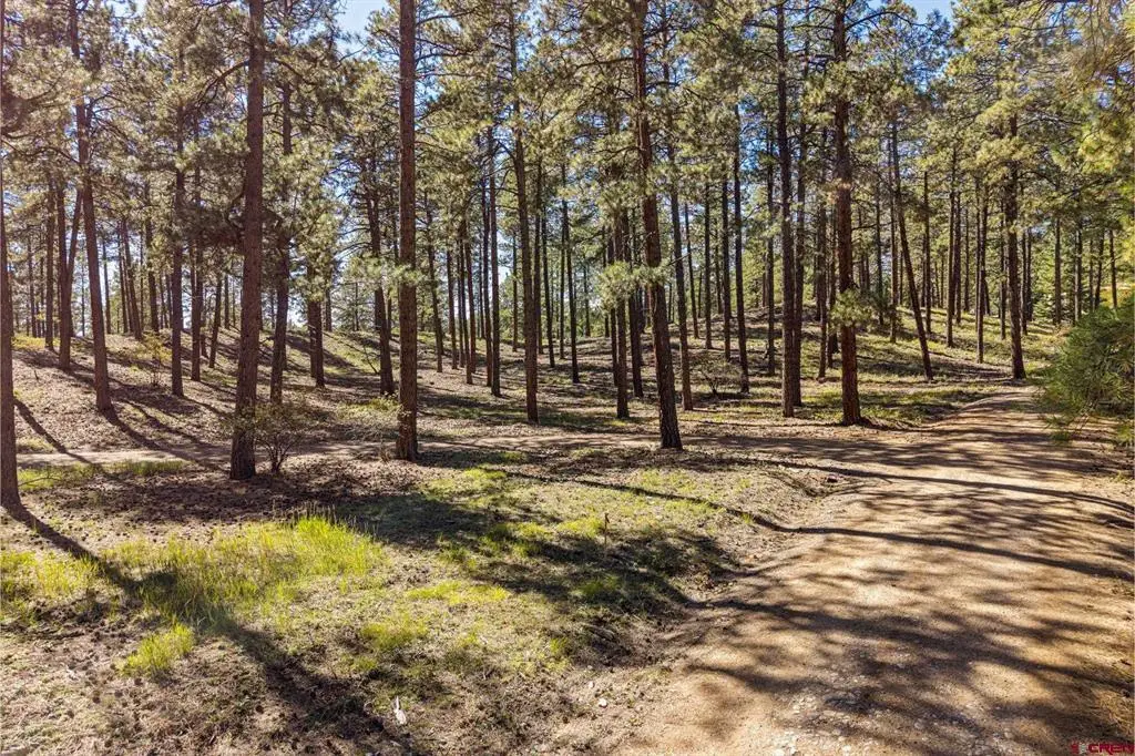 264 Badger Road, Bayfield, CO 81122 - #1