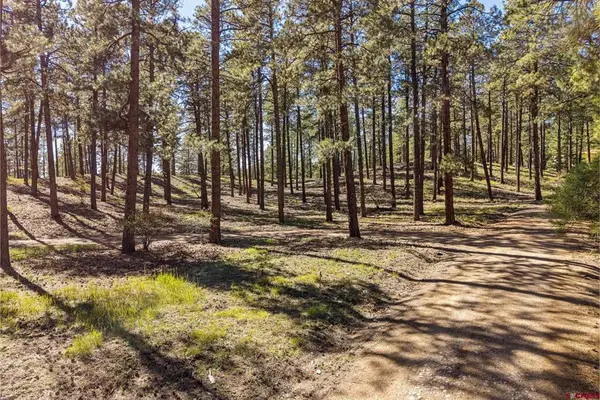 264 Badger Road, Bayfield, CO 81122