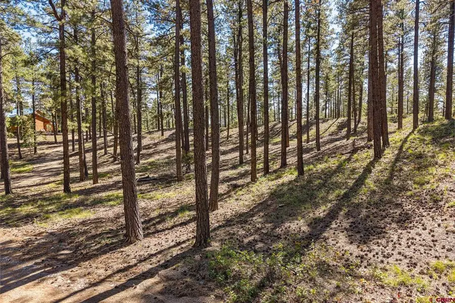 264 Badger Road, Bayfield, CO 81122 - #2