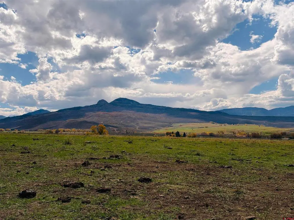 TBD County Rd 21, Cimarron, CO 81220 - #1