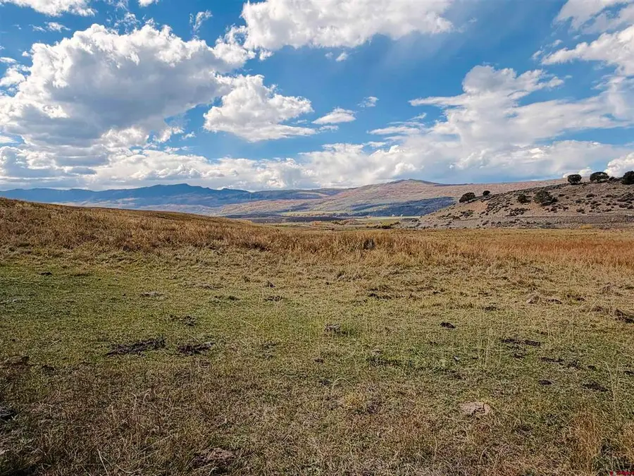 TBD County Rd 21, Cimarron, CO 81220 - #2