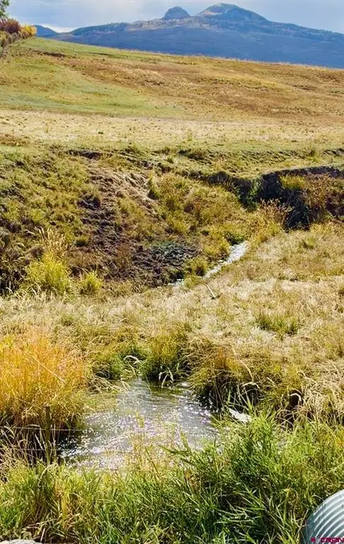 TBD County Rd 21, Cimarron, CO 81220 - #3