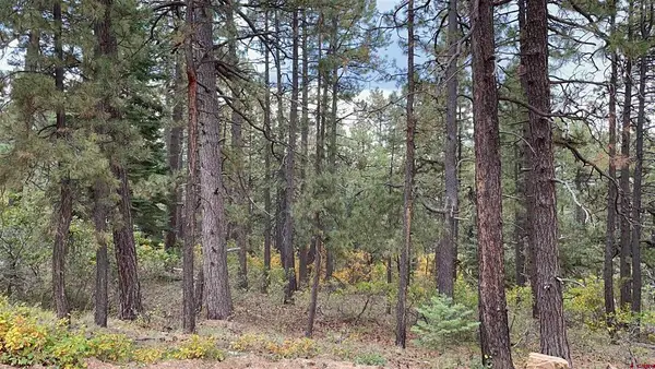 366 & 394 Pine Ridge Drive, Bayfield, CO 81122