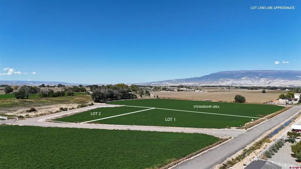 TBD Lot 1 Bronco Court, Delta, CO 81416 - #1
