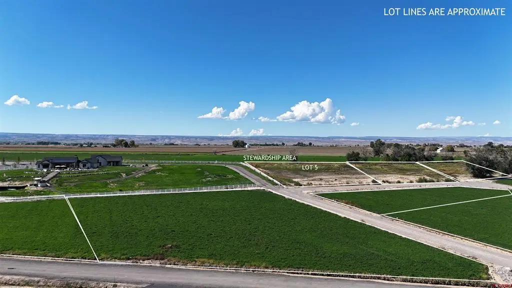TBD Lot 5 Bronco Court, Delta, CO 81416 - #1