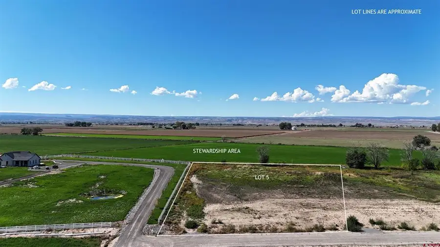 TBD Lot 5 Bronco Court, Delta, CO 81416 - #2