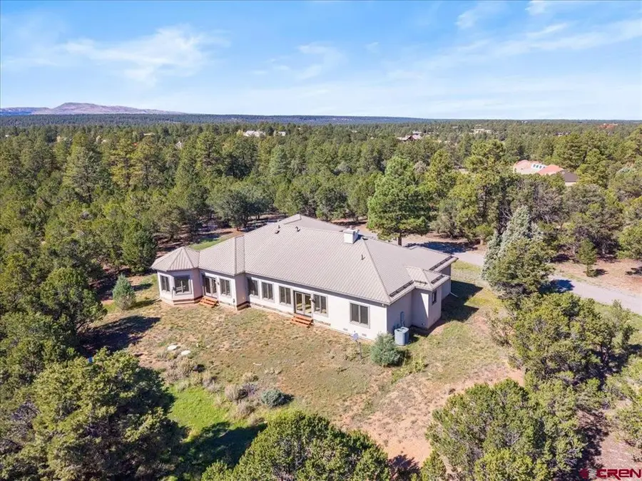 40 Juniper Lane, Ridgway, CO 81432 - #3