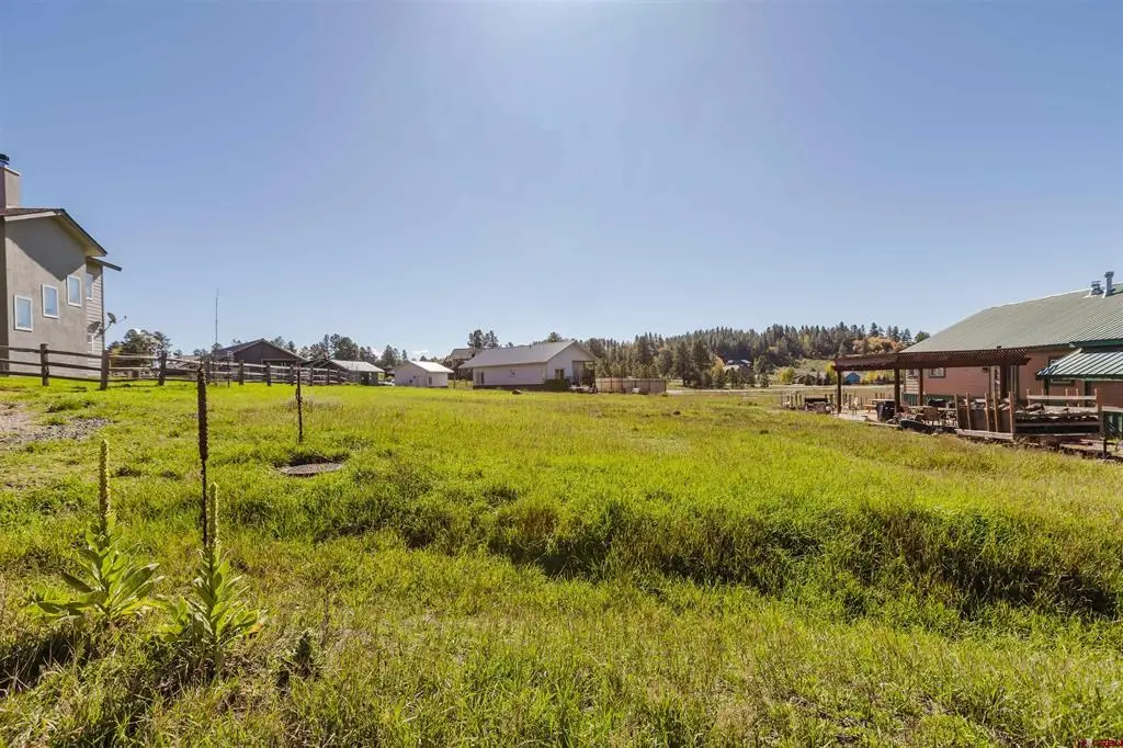 429 Saddle Circle, Pagosa Springs, CO 81147 - #1