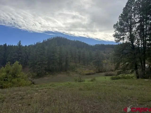 182 Little Bear Drive, Bayfield, CO 81122 - #2