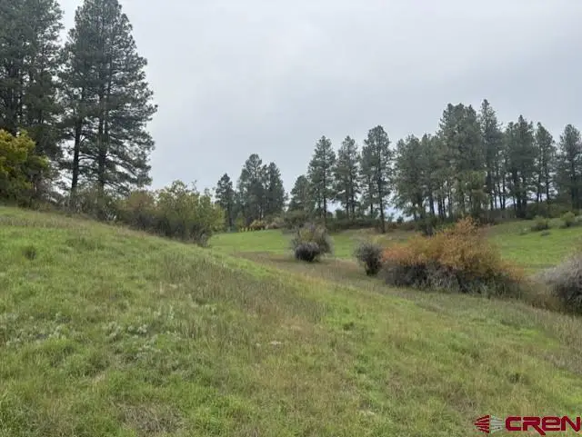 182 Little Bear Drive, Bayfield, CO 81122 - #3