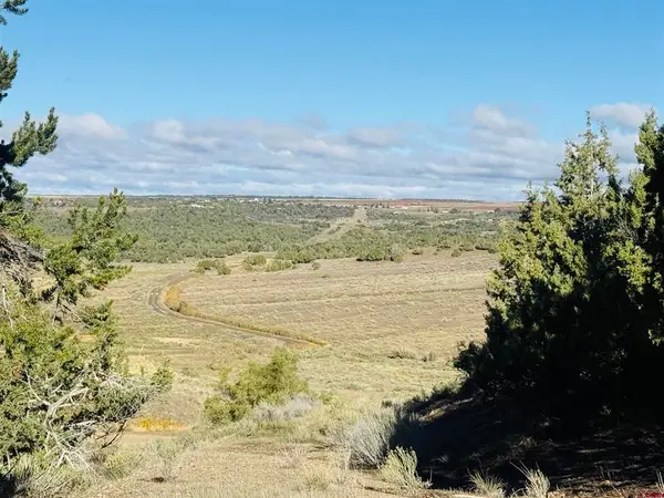 24832 Road V.5, Dolores, CO 81323