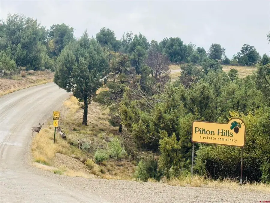 24832 Road V.5, Dolores, CO 81323 - #2