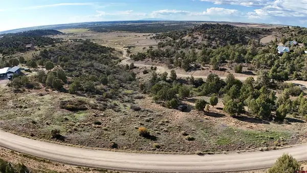 24991 V.4 Road, Dolores, CO 81323