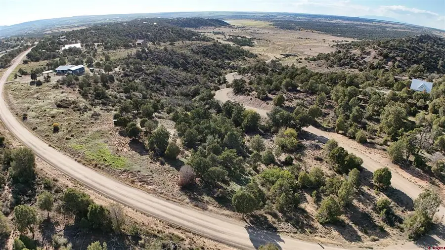 24991 V.4 Road, Dolores, CO 81323 - #3