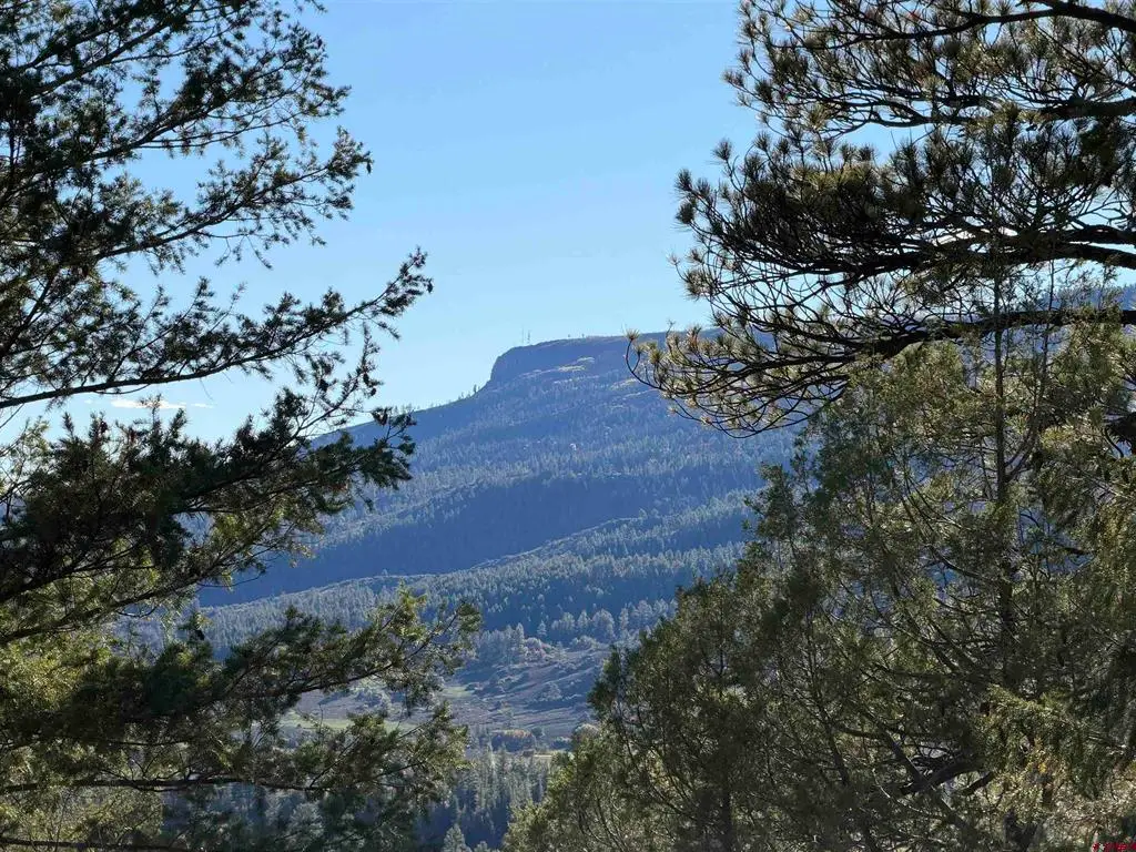 X S Cougar Court, Pagosa Springs, CO 81147 - #1