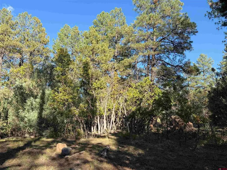X S Cougar Court, Pagosa Springs, CO 81147 - #2