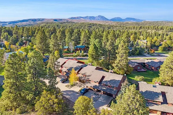 243 Pine Ridge Loop #C2, Durango, CO 81301