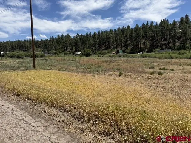 10750 W Highway 160, Pagosa Springs, CO 81147 - #2