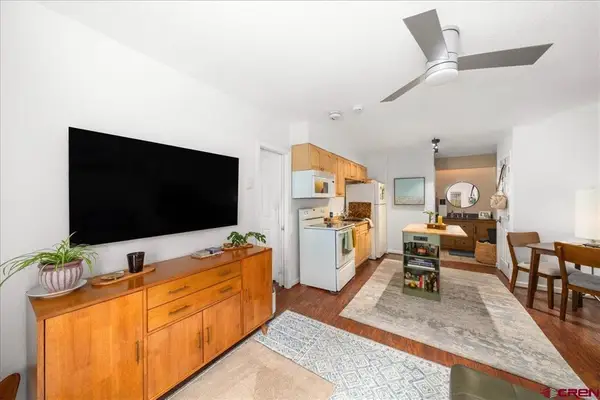 651 W Pacific Avenue #102A, Telluride, CO 81435