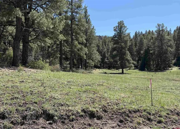 X Winterwood, Pagosa Springs, CO 81147