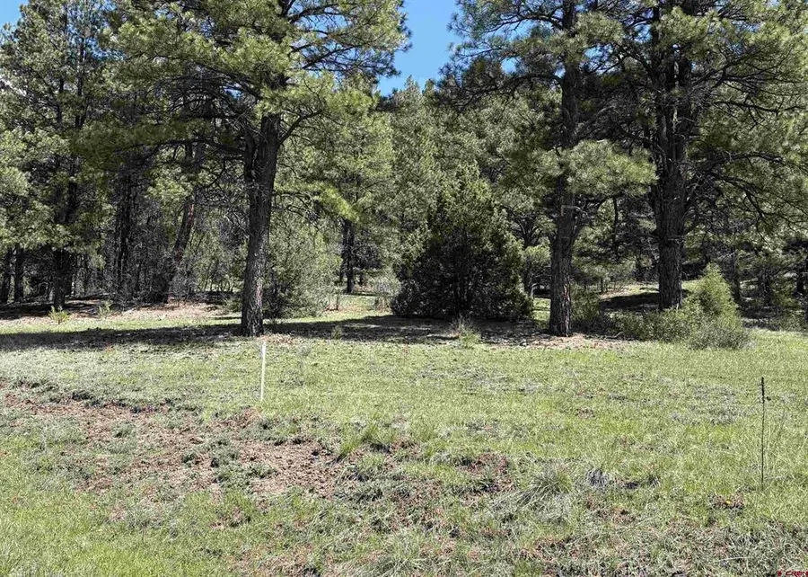 X Winterwood, Pagosa Springs, CO 81147 - #2