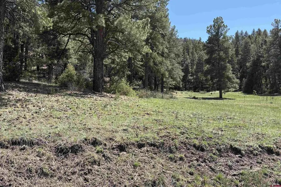 X Winterwood, Pagosa Springs, CO 81147 - #3