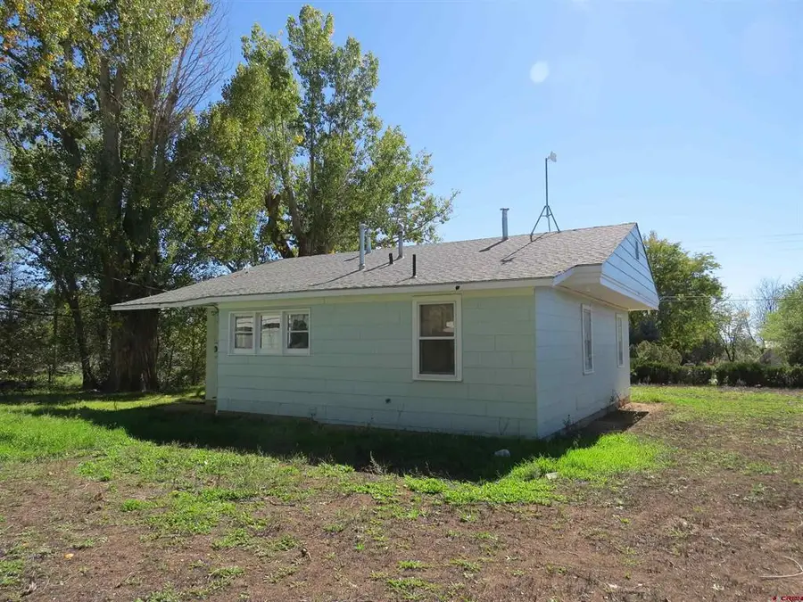 21535 North Road, Eckert, CO 81418 - #3